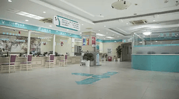 Creator & Influencer Partnerships